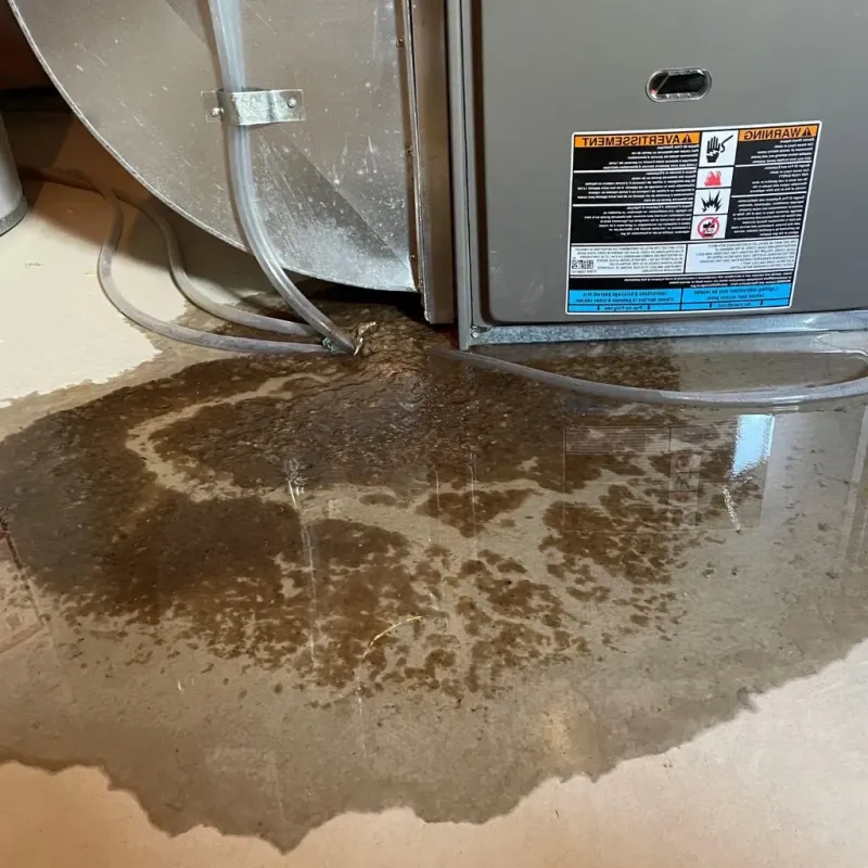 Pipe Burst and Leak Restoration in Simpson County, MS