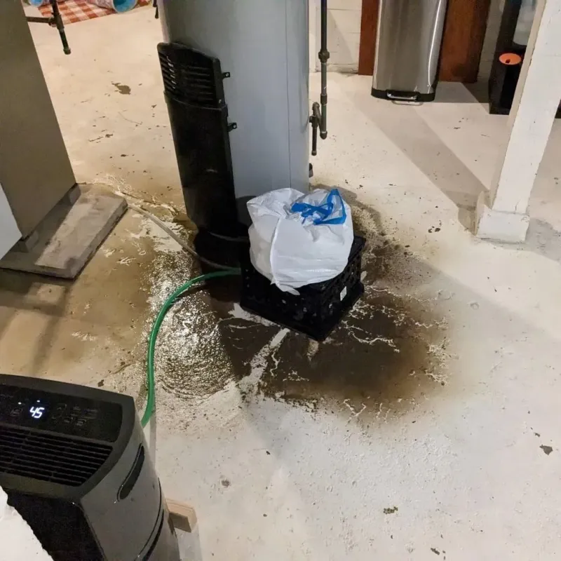 Sewage Backup Cleanup Service in Simpson County, MS